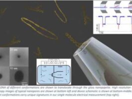 Novel technique may help in early detection of Cancer, Alzheimer’s, and Parkinson’s