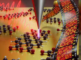 Study to help develop more efficient solar cells